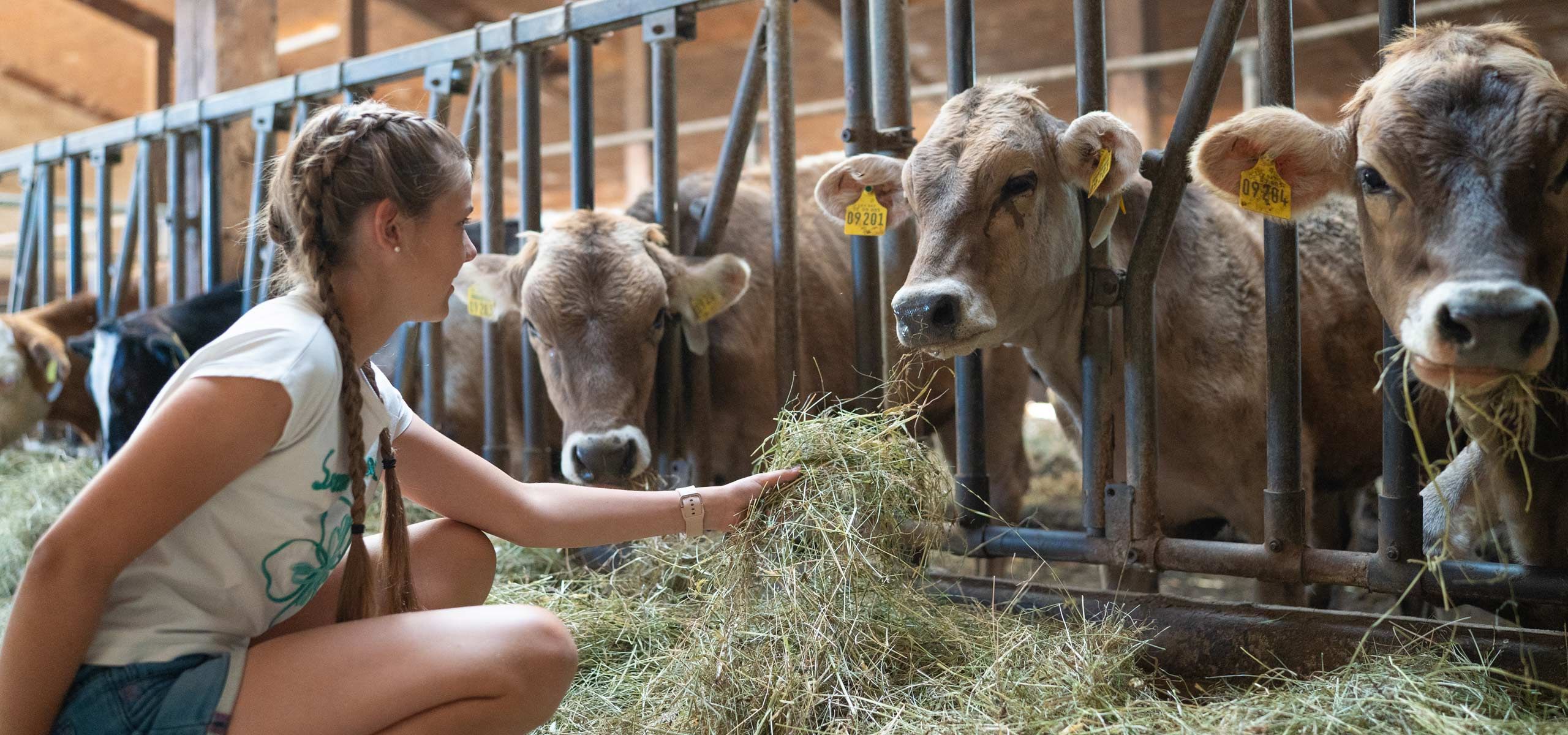Ferienhof Mair - in Immenstadt im Allgäu - Urlaub auf dem Bauernhof mit Kindern und vielen Tieren