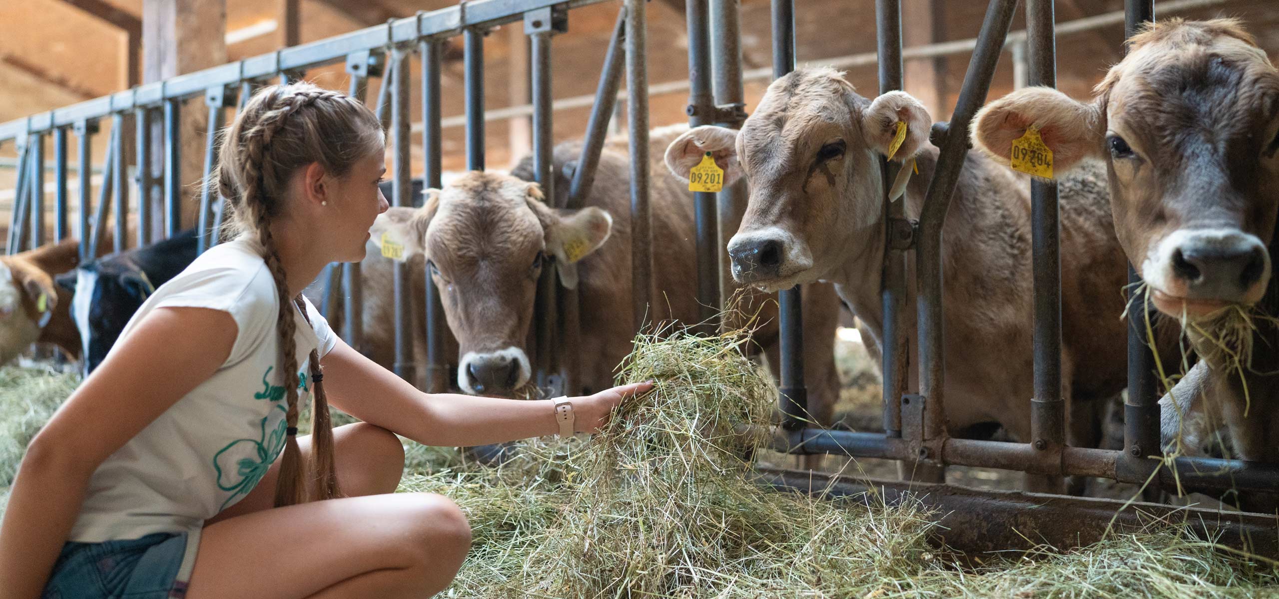 Ferienhof Mair - in Immenstadt im Allgäu - Urlaub auf dem Bauernhof mit Kindern und vielen Tieren